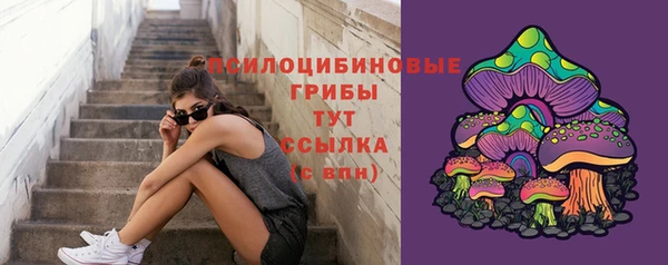 mix Аркадак