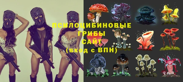 mix Аркадак