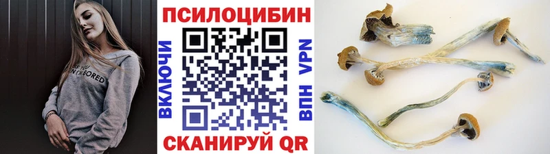 цена наркотик  Фролово  Псилоцибиновые грибы Psilocybine cubensis 